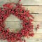 20&#x22; Shiny Red Berry Artificial Wreath with Brown Twig Accents, Unlit